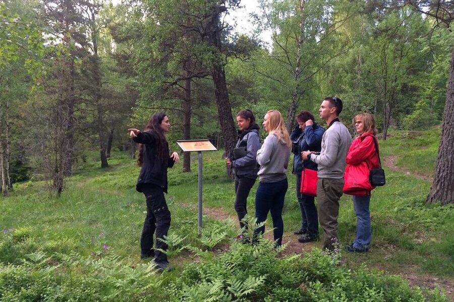Stockholm: Evening Wildlife Safari with Midsummer Meal - Guides make the difference, and it shows