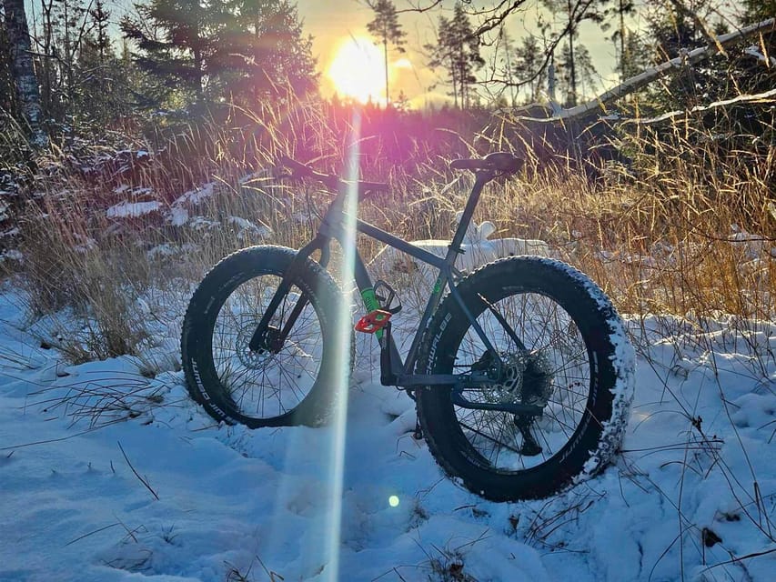 Stockholm: Fat Bike Forest Adventure with Lunch and Sauna - Quick take: why this fat bike plus sauna day works