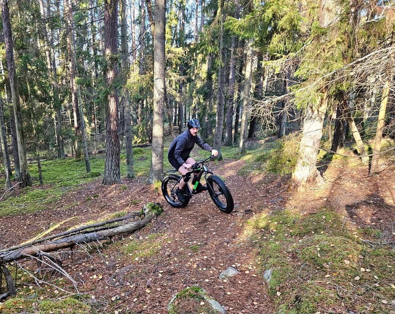 Stockholm: Fat Bike Forest Adventure with Lunch and Sauna - The forest café lunch with lake view: hot, simple, and actually satisfying