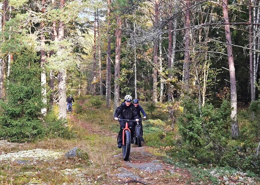 Stockholm: Fat Bike Forest Adventure with Lunch and Sauna - Price and value: what $138 includes, and why it adds up