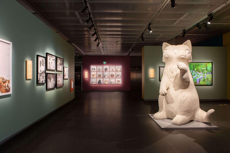 Stockholm: Fotografiska Museum Entrance Ticket - Pricing and Value: Is $22 Worth It?