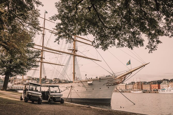 Stockholm Highlights: Private Golf Cart Tour - Monteliusvägen and Fjällgatan: the photo stops you’ll be glad you did