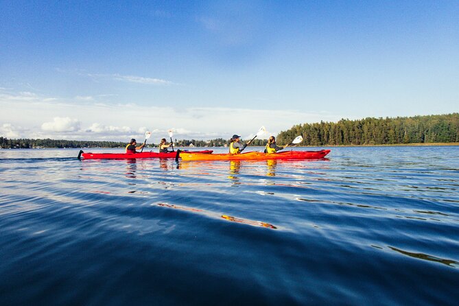 Stockholm: Kayaking tour around Vaxholm Archipelago with Fika - Why kayak the Vaxholm Archipelago, not just Stockholm’s waterfront