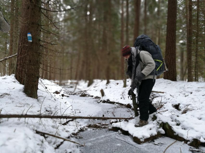 Stockholm: Nature Hike with Campfire Lunch - Key points before you go