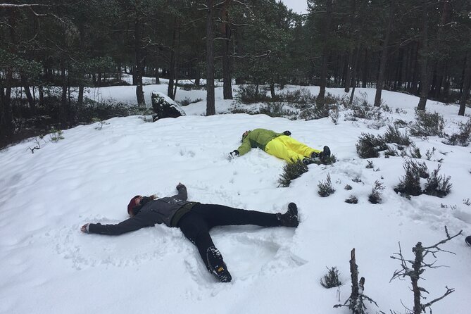 Stockholm: Nature Reserve Hiking Tour with Campfire Lunch - What you should plan for, before you go