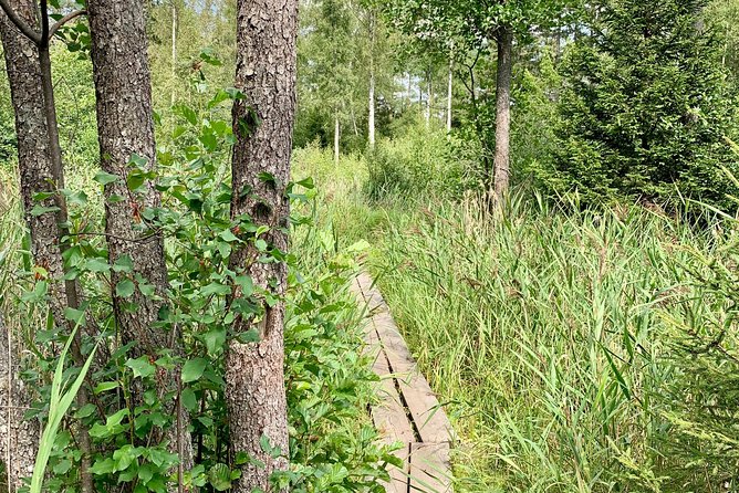 Stockholm: Nature Reserve Hiking Tour with Campfire Lunch - Campfire lunch and fika, the break that makes the tour worth it