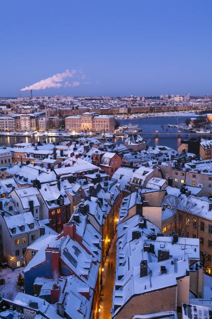 Stockholm: Old Town Historical Walking Tour - Royal Palace days, kings and queens, then church history at Stockholm Cathedral