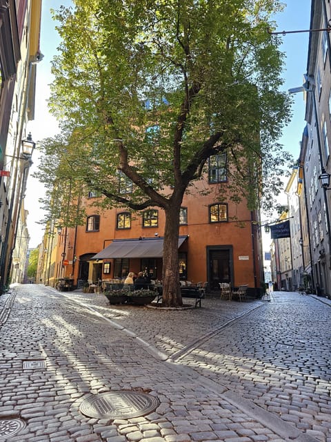Stockholm: Old Town Walking Tour, stories and secrets - Royal Palace pass-by and Stockholm Cathedral: power meets faith