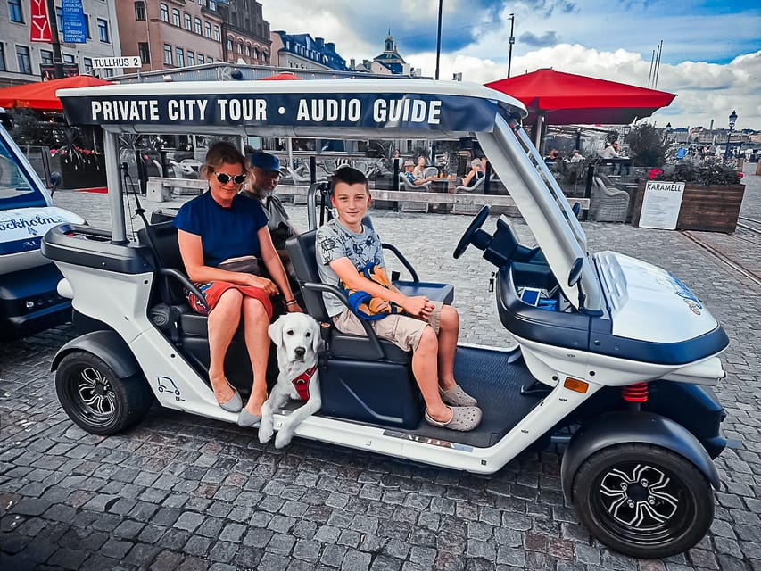Stockholm Private Golf Cart Tours - Royal Palace, Nationalmuseum, and the Museum Belt You Can Actually Cover