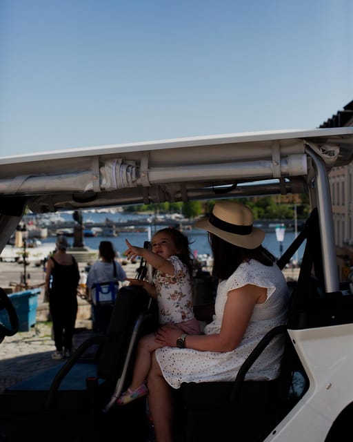 Stockholm Private Golf Cart Tours - Djurgården Island Highlights: Vasa Museum, ABBA Culture, and Skansen Views