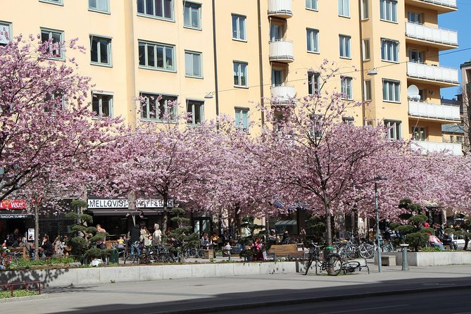 Stockholm Private Tour with a Local: Hip & Bohemian Sodermalm 3hr - Why Södermalm feels different from the usual Stockholm loop