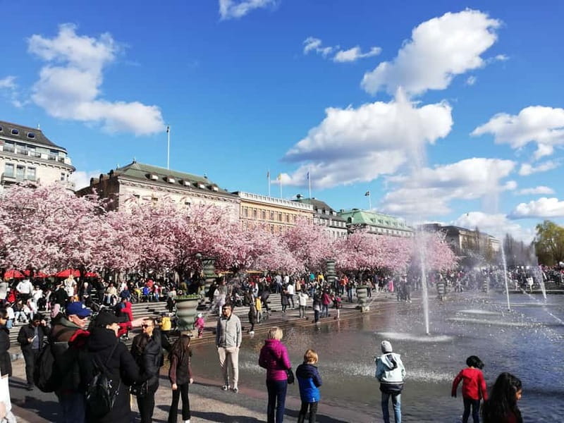 Stockholm: Scandinavian Architecture & Design Ostermalm Tour - Meeting at Svampen and how the 3-hour format works