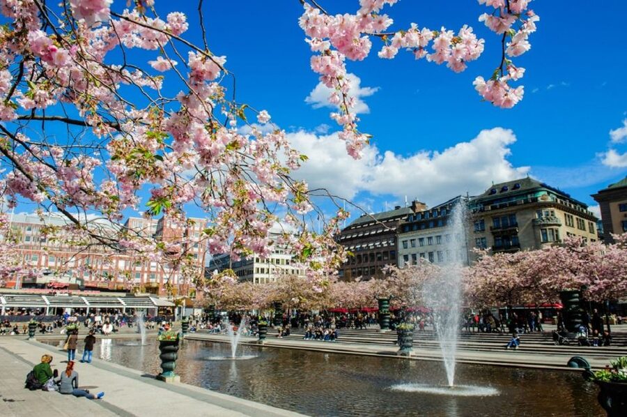 Stockholm: Self Guided GPS Bike Tour - Quick honesty on drawbacks and common gotchas
