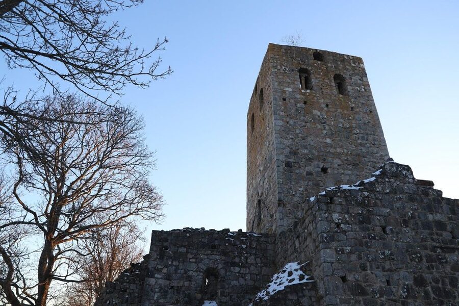 Stockholm: Sigtuna and Uppsala Viking History Day Tour - Price and what you actually get for $255