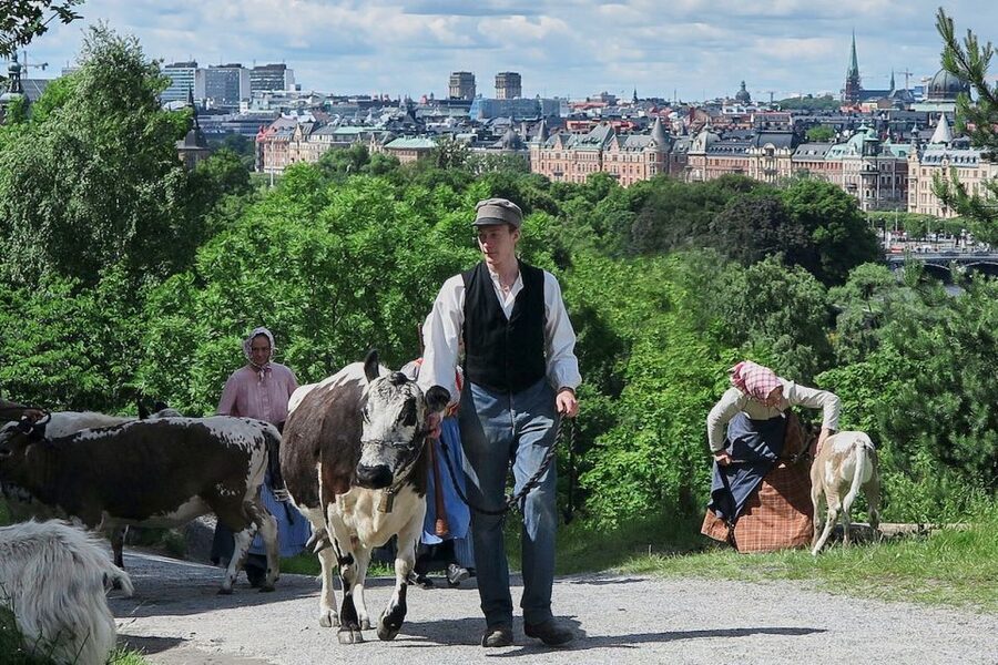 Stockholm: Skansen Open-Air Museum Admission Ticket - Entering Skansen and Getting Oriented Fast