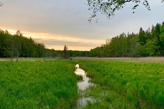 Stockholm: Sunset Hike in Tyresta National Park with Meal - Key highlights you will feel fast