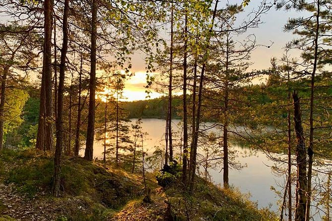 Stockholm: Sunset Hike in Tyresta National Park with Meal - Sunset in Tyresta: what makes it feel so Swedish