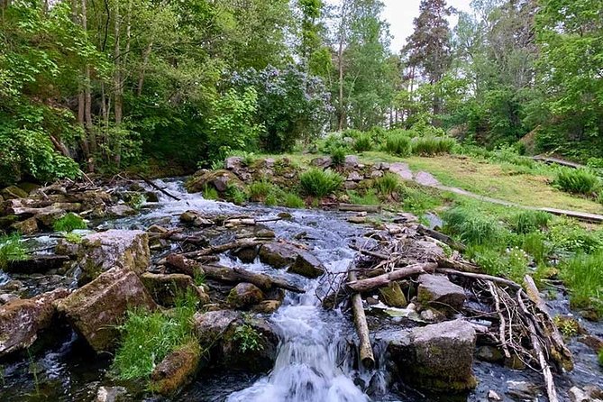 Stockholm: Sunset Hike in Tyresta National Park with Meal - The first forest stretch: walking into dusk with your guide