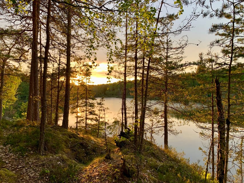 Stockholm: Sunset Hike in Tyresta National Park with Meal - The lakeside pause: Swedish Midsummer meal and fika energy boost