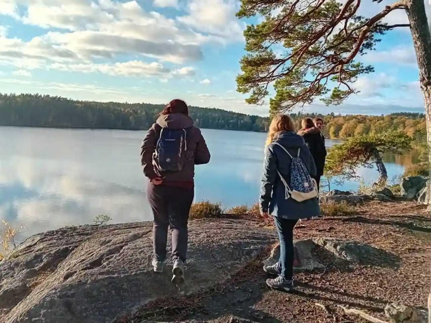 Stockholm: Sunset Hike in Tyresta National Park with Meal - After darkness falls: the second hike is where the forest takes over