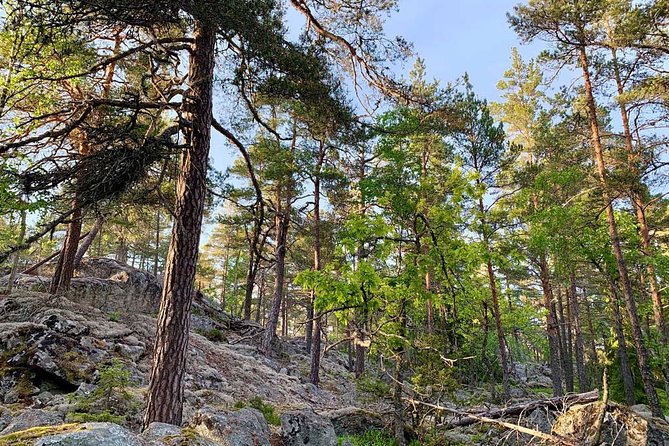 Stockholm: Sunset Hike in Tyresta National Park with Meal - Gullmarsplan 2 to the wilderness: simple transit, real payoff