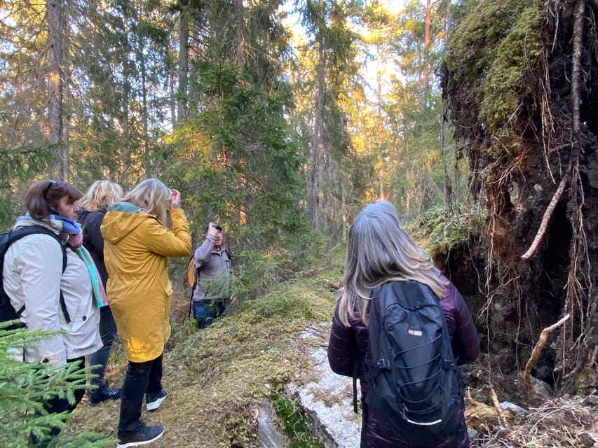 Stockholm: Wildlife Safari - Who this Stockholm wildlife safari fits best