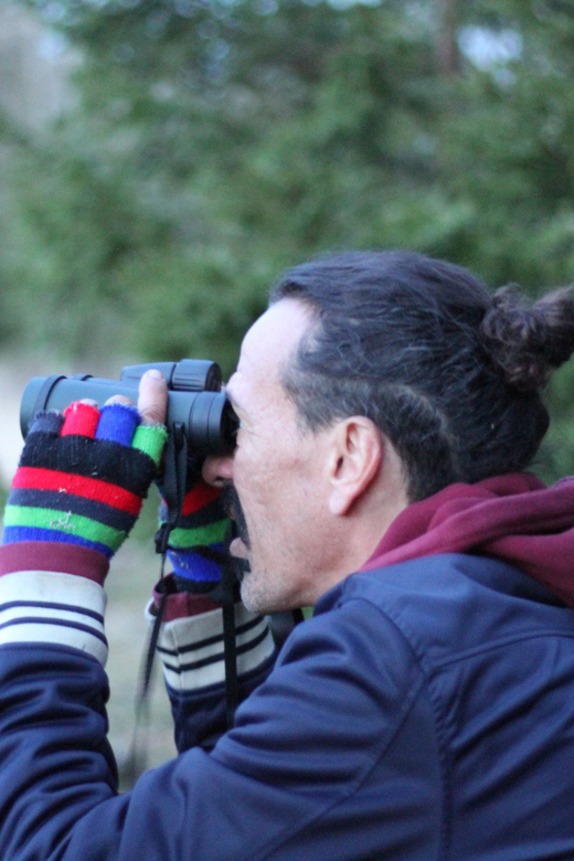 Stockholm: Wildlife Safari - After sunset: torch time in the Swedish dark