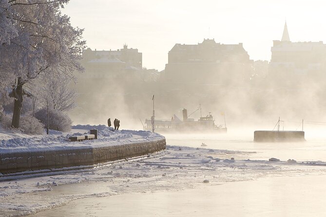 Stockholm Winter Boat Tour with Guide - Why Stockholm’s winter boat views are different (and worth it)