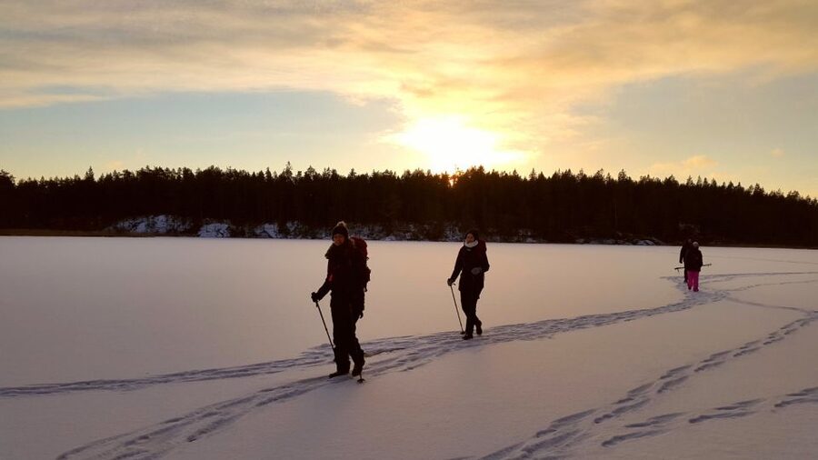 Stockholm: Winter Snowshoe Full-Day Hike - Why this Stockholm snowshoe day feels close to the city