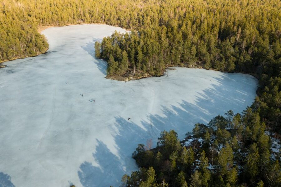 Stockholm: Winter Snowshoe Full-Day Hike - Snowshoes, ice grips, and safety lessons that prevent wobbles