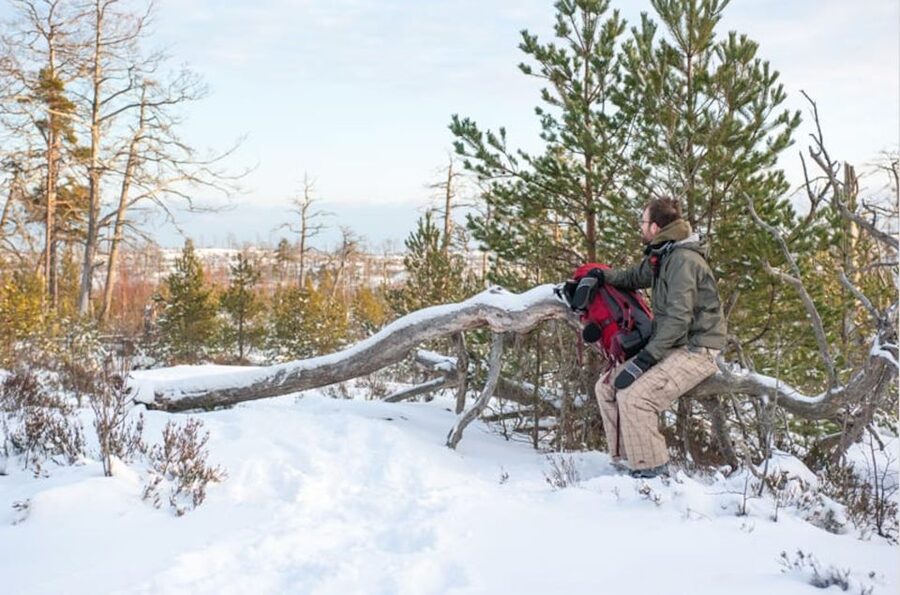 Stockholm: Winter Snowshoe Full-Day Hike - Campfire lunch, warmth breaks, and the fika factor