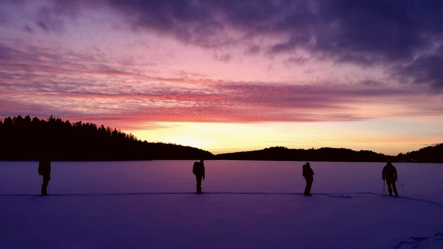 Stockholm: Winter Snowshoe Full-Day Hike - Price and value: what $176 gets you in a guided winter day