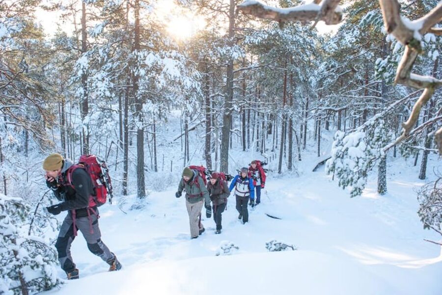 Stockholm: Winter Snowshoe Full-Day Hike - Pickup, meeting point, and the small-group rhythm