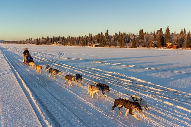 Sunrise Zen Husky Tour (10:00 to 13:00 - sitting on the sled) - Key things that make this tour worth your time