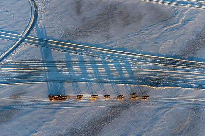 Sunrise Zen Husky Tour (10:00 to 13:00 - sitting on the sled) - Price and value: is $264.52 a fair deal for a 3-hour sled ride?