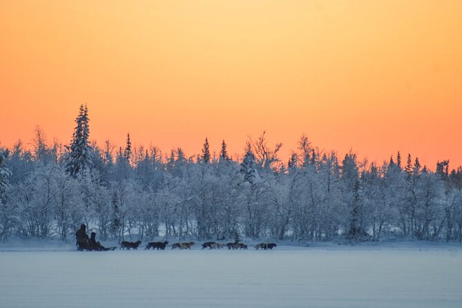 Sunrise Zen Husky Tour (10:00 to 13:00 - sitting on the sled) - Pickup and timing: the first 20 minutes can make or break it