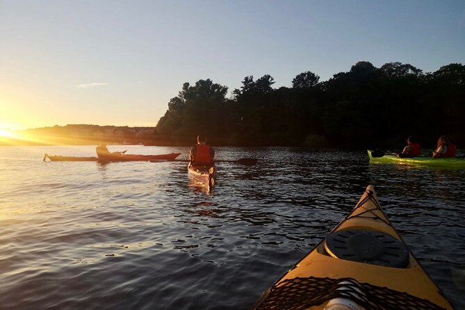 Sunset Kayak Tour in Central Stockholm and Swedish Fika - Safety briefing and dock skills, even if you are new