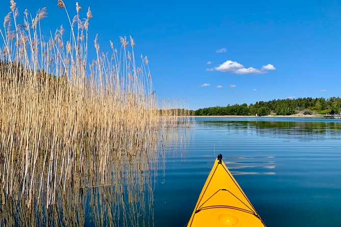 Sunset Kayak Tour in the Stockholm Archipelago + Swedish Fika - Swedish fika on the islands: the break that makes it feel Swedish