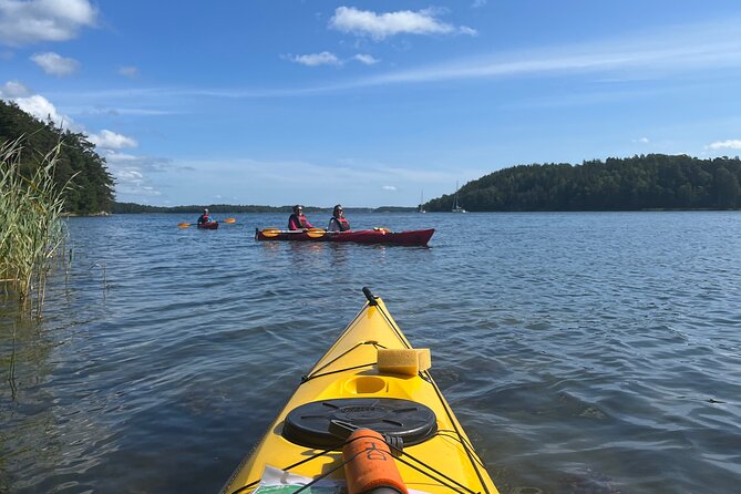 Sunset Kayak Tour in the Stockholm Archipelago + Swedish Fika - Group size and guide attention in a tour capped at 8