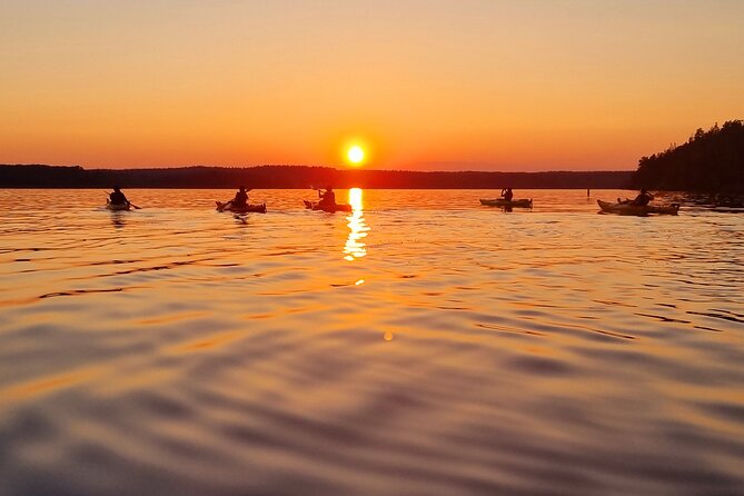 Sunset kayak tour with fika on Stockholms lakeside - Key things that make this sunset kayak with fika work