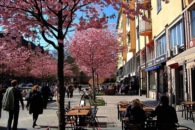 The Södermalm Tour in Stockholm - Mariatorget Start: Easy to Reach, Worth Arriving Early