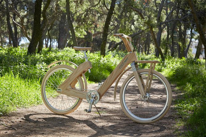 The Wooden Bicycle Tour in Stockholm - A handcrafted wooden bike in Stockholm, and why it matters
