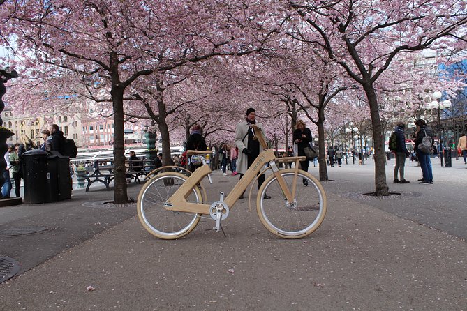 The Wooden Bicycle Tour in Stockholm - Stop focus: “Stockholm” as a guided highlight reel