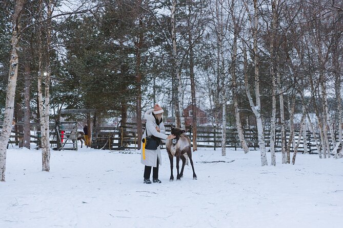 Visit the Sami and Reindeer in a Day Trip from Abisko - Café Sápmi in a wooden teepee, warm breaks that matter