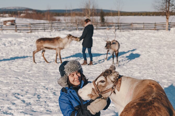 Visit the Sami and Reindeer in a Day Trip from Abisko - Nutti Sámi Siida open-air museum, buildings and daily life