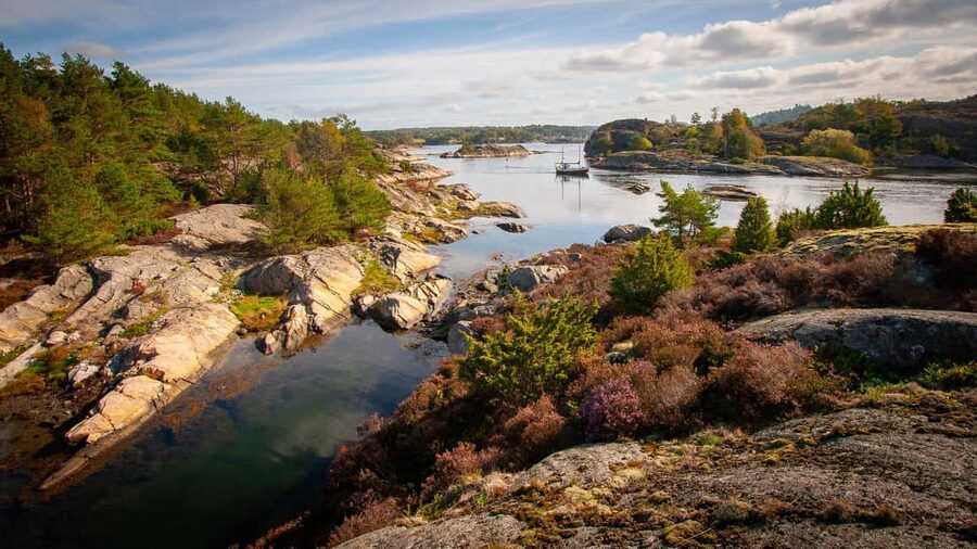 West Sweden: Sea Kayak Delight in Nature Reserves - Spotting sea birds while you paddle, and how to actually notice them