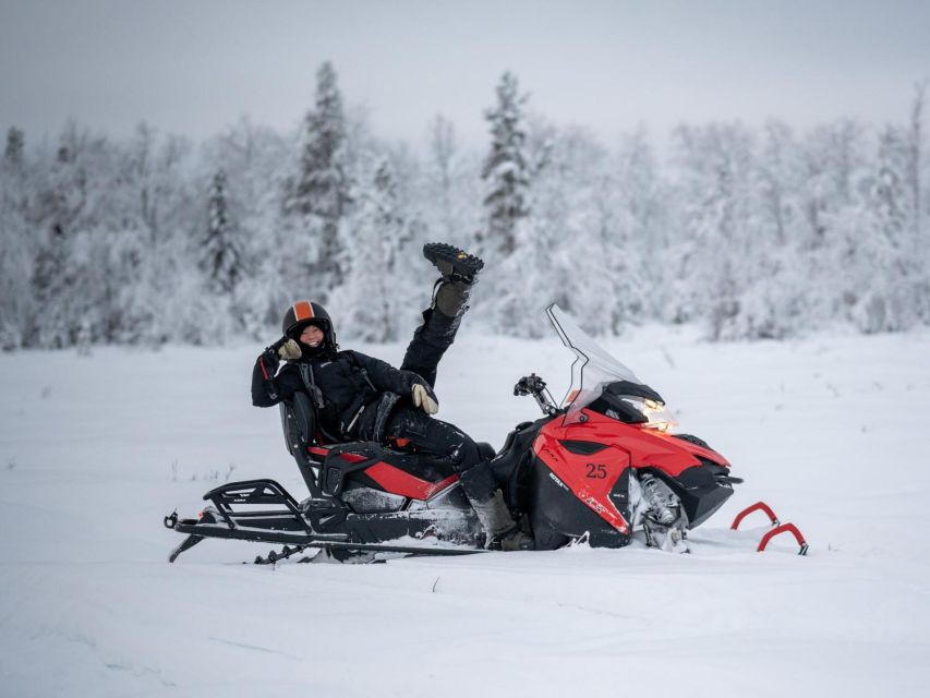 Wilderness Tour with Snowmobile & Ice Fishing - Key highlights worth clocking before you go