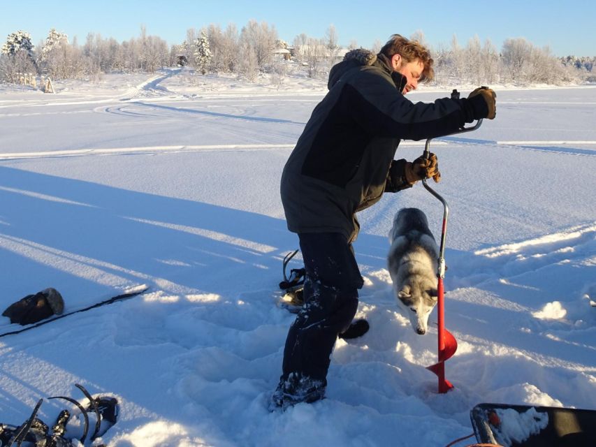 Wilderness Tour with Snowmobile & Ice Fishing - Wildlife spotting and track reading on frozen lakes