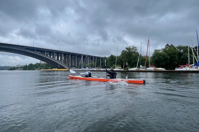 Winter Kayak Tour in Stockholm City (Dry Suit Kayaking) - Who Should Book (and Who Might Sit This One Out)