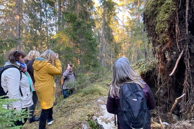 Wolf and Wildlife Tracking in Sweden - Key Points You’ll Care About